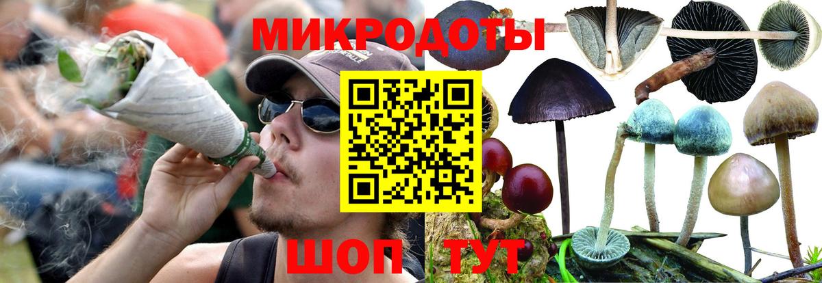 Тихорецк  Галлюциногенные грибы Magic Shrooms  Вход с VPN 